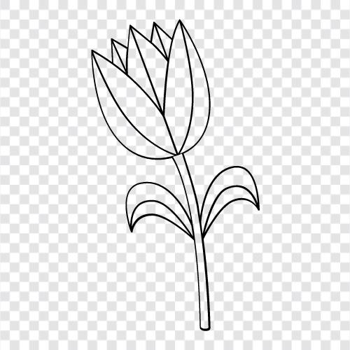 Bloom, Bloomers, Bloomersuits, Floral icon svg