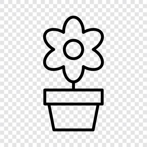 Bloom, Plant, Yıllık, Güneş ikon svg