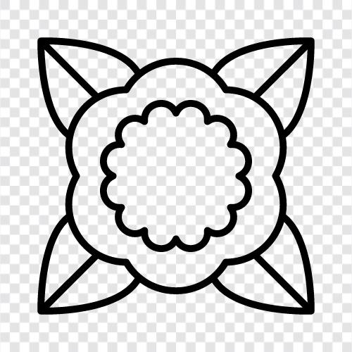 Bloom, Bloomer, Blooming, Blooms ikon svg