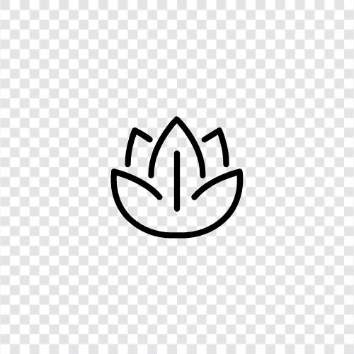 Bloom, Bloomers, Bloomer, Flowery icon svg