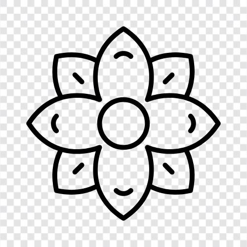 Blüte, Blume symbol