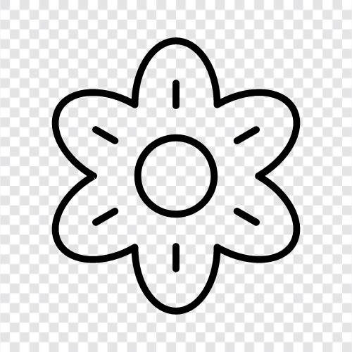 bloom, blossom, petals, colors icon svg