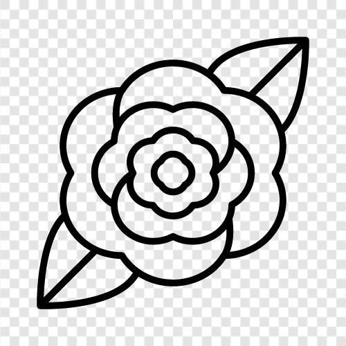 Bloom, Bouquet, Daffodil, Daisy icon svg