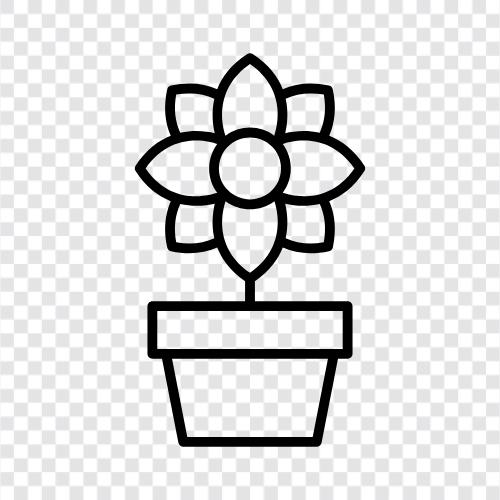 bloom, grow, blossom, petal icon svg