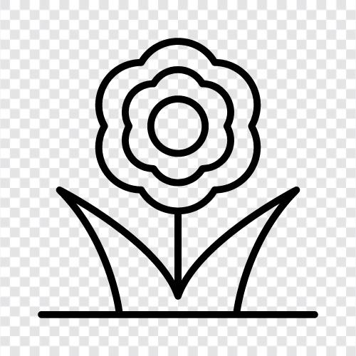 Bloom, Bud, Flower icon svg