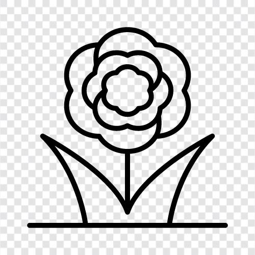 Bloom, Bloomers, Bouquet, Blossom icon svg