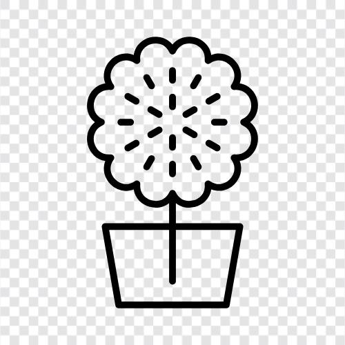 Bloom, Blooms, Bloomers, Bloomy icon svg