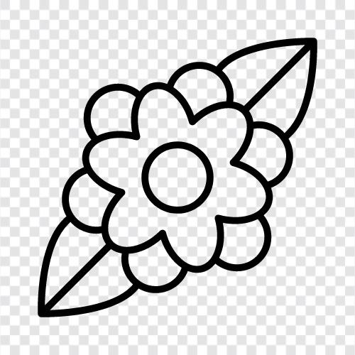 Bloom, Blossoms, Bouquet, Fragrance icon svg