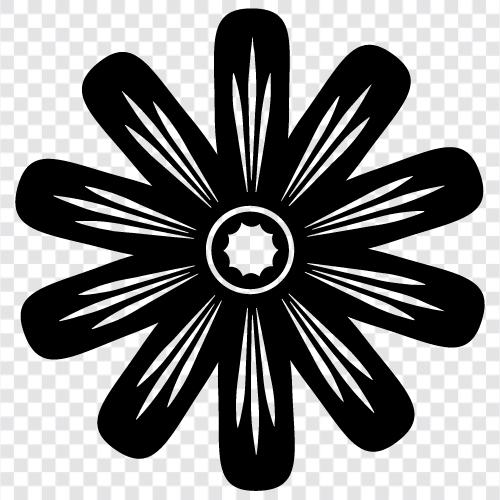 Blüte, Blütenblatt, Stiel, Blätter symbol