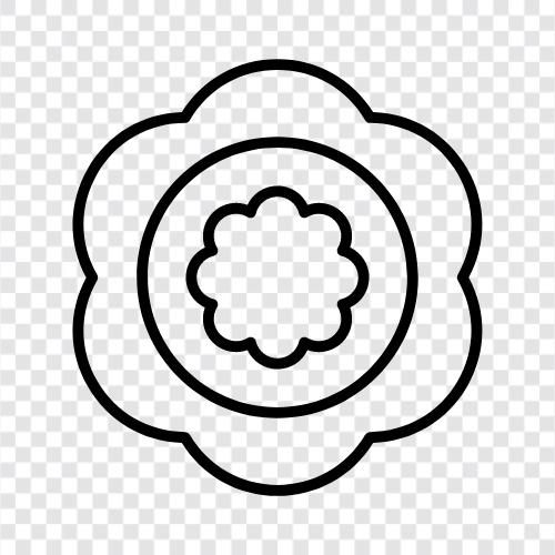 Bloom, Bloomer, Blooming, Blooms ikon svg