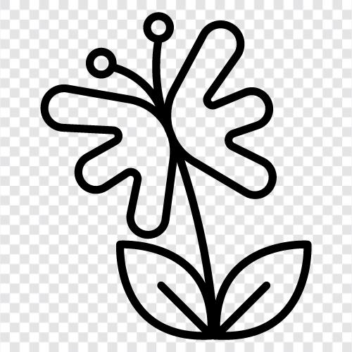 Blüte, Blütezeit symbol