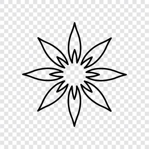 Bloomy, Bloomy Girl, Bloomy Lady, Blume symbol