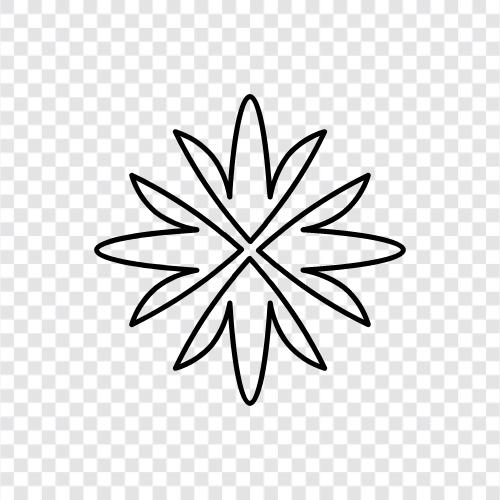 Blüte, Pflanze, Pflanzung, Gartenarbeit symbol