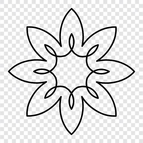 Blüte, Garten, Blumenblümchen, Blumenkohl symbol