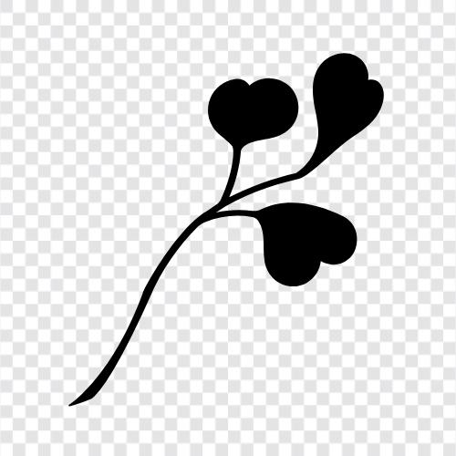 Blüte, Blütenblatt, Stängel, Stängel einer Blume symbol