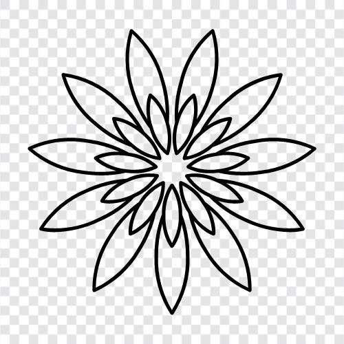 Bloom, Blooming, Bud, Plant icon svg