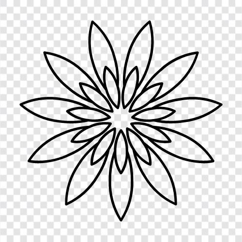 Bloom, Blooming, Bud, Bitki ikon svg