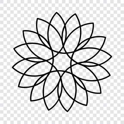 Bloom, Bloomers, Bouquet, Bouquet of Flowers icon svg