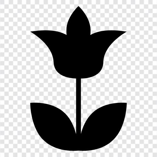 Blüten symbol
