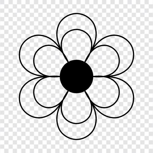 Blüte, Bouquet, Botanisch, Nelke symbol