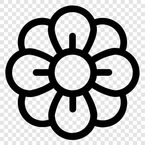 Blüte, schön, Nelke, Dahlia symbol
