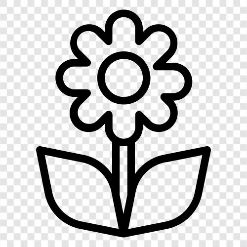 Blüte, Farbe, Duft, Blütenblätter symbol