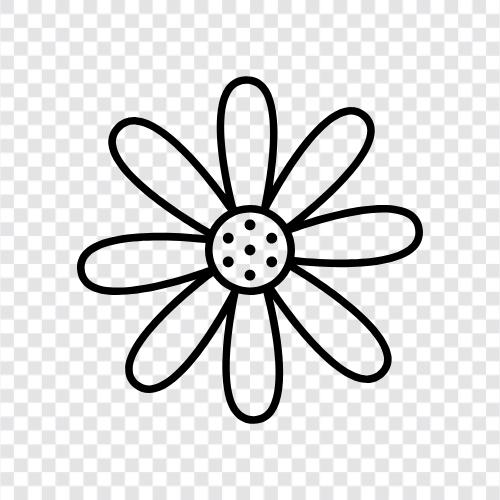 Blüte, Knospen, Nelke, Daisy symbol