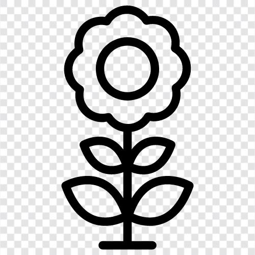 Blüte, Duft, wachsen, Blume symbol