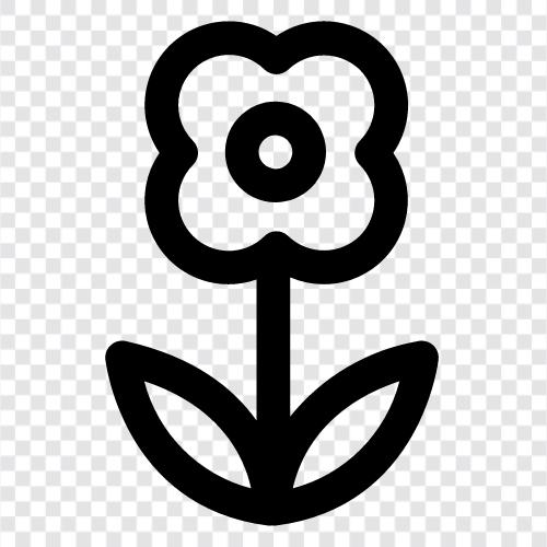 Bloom, Bloomer, Flower Boy, Florist icon svg