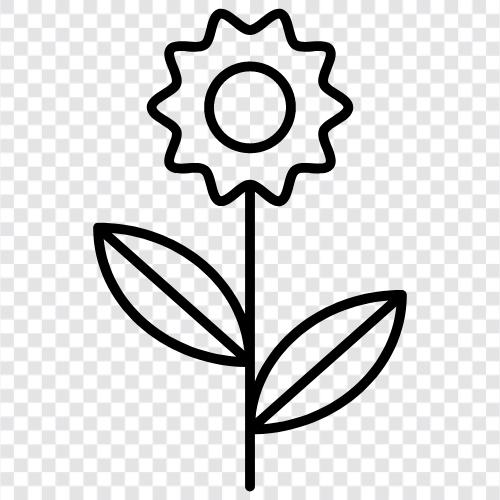 Bloom, Plant, Garden, Gardening icon svg