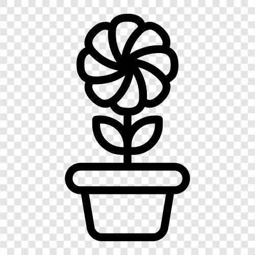 Bloom, Bloomers, Bloomersuits, Floral icon svg