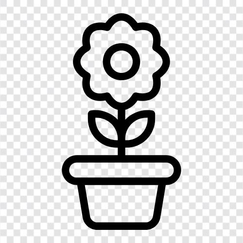 Bloom, Bloomers, Bouquet, Colors icon svg