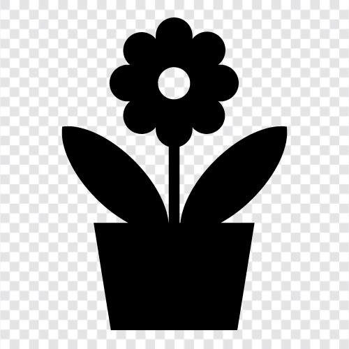 Bloom, Blooming, Bloomer, Blooms icon svg