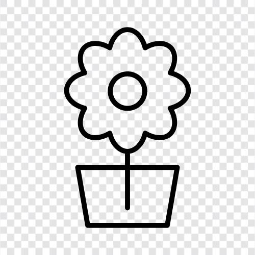 Blooming, Colors, Garden, Gardening icon svg