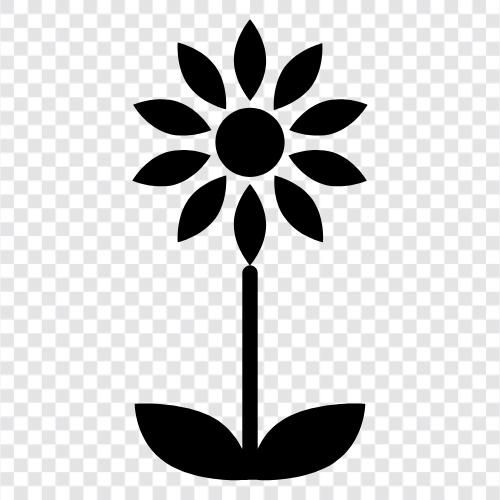 Blühende, Blühende Blume, Blühender Garten, Blumenstrauß symbol