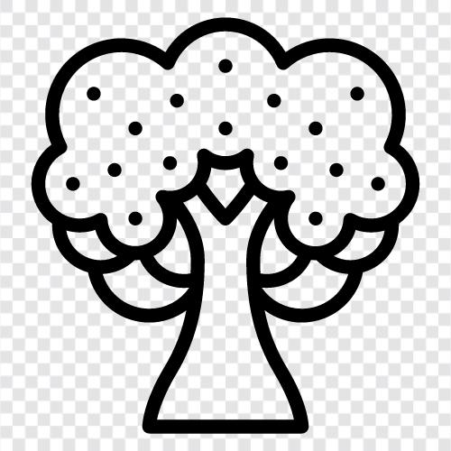 Blooming Tree nursery, Blooming Tree plants, Blooming, Blooming Tree icon svg