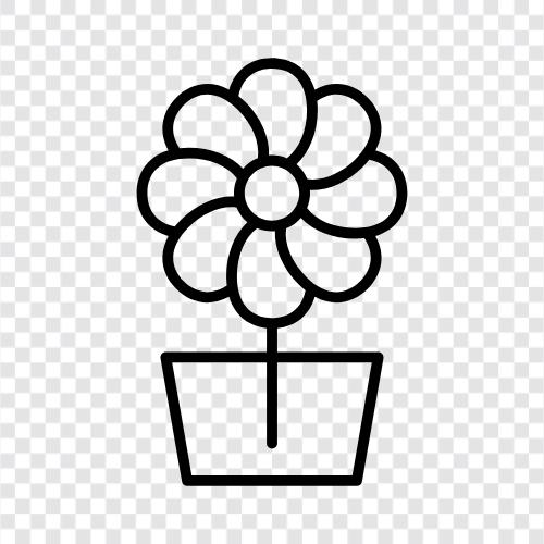 Blossom, Bloom, Plant, Blooms icon svg