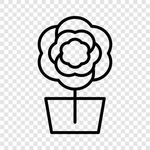 blossom, petals, garden, bloom icon svg