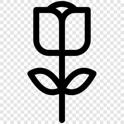 Blossom, Bloom, Bloomer, Blossom Girl symbol