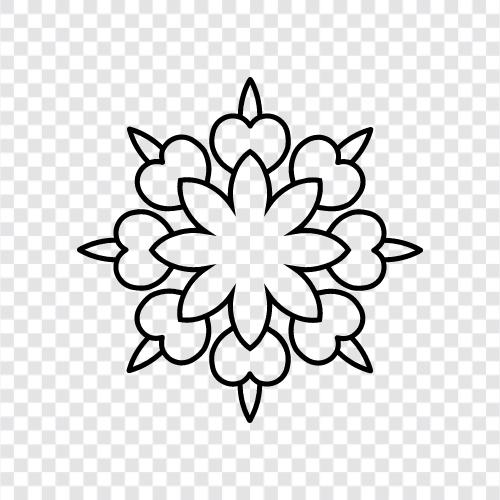 Blüte, Daisy, Blume symbol