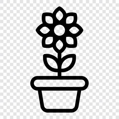 Blossom, Bloom, Bloomer, Bloomers icon svg