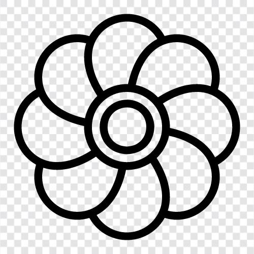 Blue Flower, Flower Photography, Flower Photos, Flower Photosynthesis icon svg