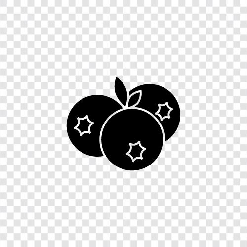 blueberry farm, blueberry meadow, blueberry crop, blueberry icon svg