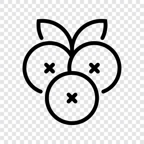 Heidelbeerkuchen, Heidelbeermuffins, Heidelbeerpfannkuchen, Heidelbeere symbol