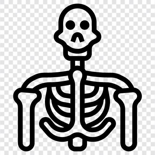 bones, death, mortality, Skeleton icon svg