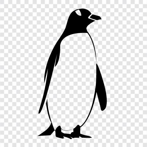 Bücher, Lesen, Pinguin, Verlagswesen symbol