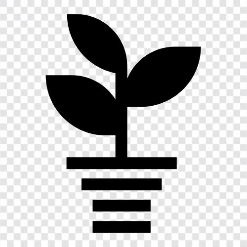 Botany, Plant Sciences, Plant Physiology, Plant Nutrition icon svg