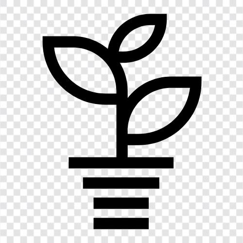 Botany, Flowers, Vegetables, Plant icon svg