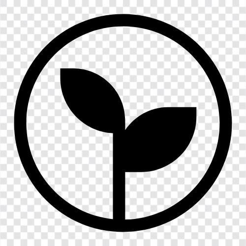 Botany, Flowers, Seeds, Vegetables icon svg