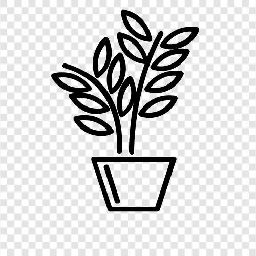 Botanik, Blumen, Gemüse, Gartenarbeit symbol